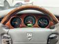 Jaguar XJ8 4,0 V8 Executive Sovereign *British Racing Green* Grün - thumbnail 20