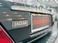Jaguar XJ8 4,0 V8 Executive Sovereign *British Racing Green* Grün - thumbnail 11