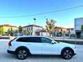 Volvo V90 Cross Country B4 (d) AWD Geartronic Business Pro Bianco - thumbnail 14