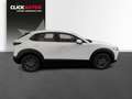 Mazda CX-30 2.0 e-Skyactiv G 122CV MHEV Prime-Line Blanco - thumbnail 4
