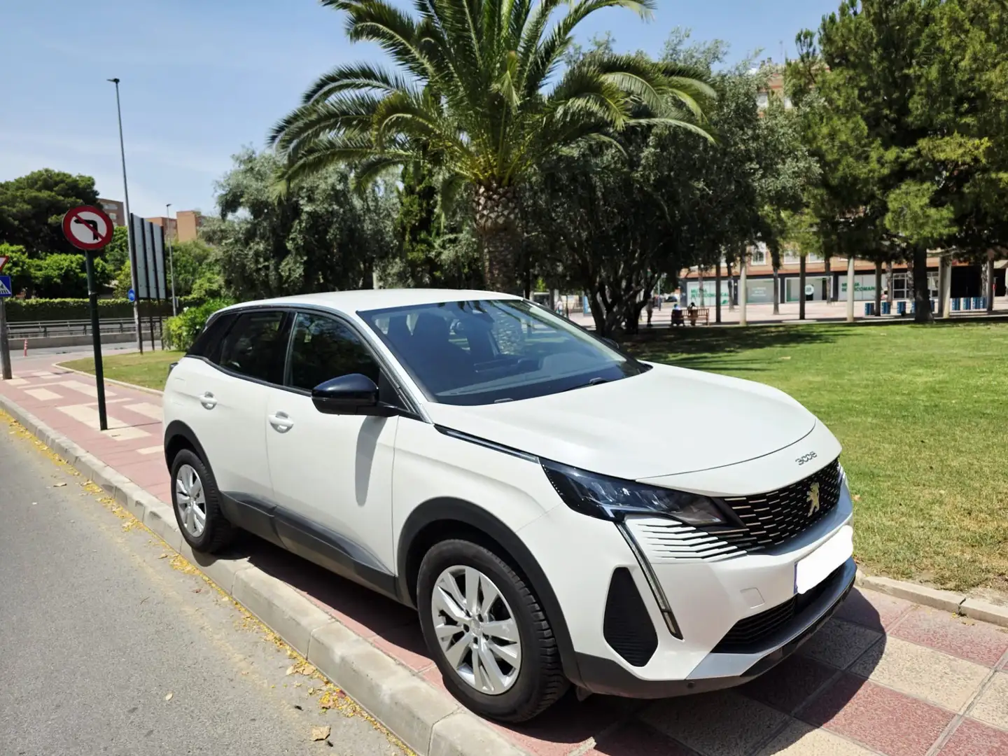 Peugeot 3008 1.5BlueHDi Active Pack S&S 130 - 1