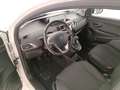 Lancia Ypsilon III 2015 1.0 hybrid Gold s&s 70cv Bianco - thumbnail 10