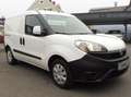 Fiat Doblo Cargo SX 1,3 MultiJet 95 Weiß - thumbnail 3