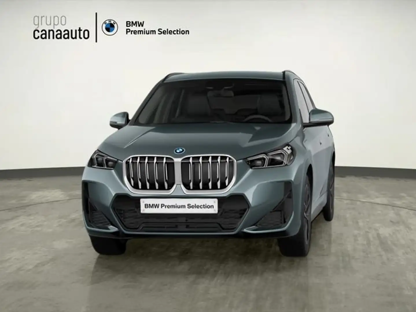 BMW X1 xDrive25e 180 kW (245 CV) Verde - 1