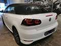 Volkswagen Golf Cabriolet Golf Cabriolet 1.2 TSI ALLSTAR CAMERA GPS Biały - thumbnail 9