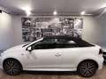 Volkswagen Golf Cabriolet Golf Cabriolet 1.2 TSI ALLSTAR CAMERA GPS Biały - thumbnail 5