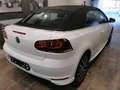 Volkswagen Golf Cabriolet Golf Cabriolet 1.2 TSI ALLSTAR CAMERA GPS Biały - thumbnail 6