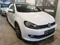 Volkswagen Golf Cabriolet Golf Cabriolet 1.2 TSI ALLSTAR CAMERA GPS Biały - thumbnail 7