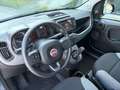 Fiat Panda 1,0 Hybrid 70 City Life 4x2 Blau - thumbnail 24