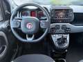 Fiat Panda 1,0 Hybrid 70 City Life 4x2 Blau - thumbnail 12