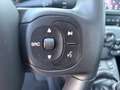 Fiat Panda 1,0 Hybrid 70 City Life 4x2 Blau - thumbnail 26