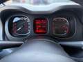 Fiat Panda 1,0 Hybrid 70 City Life 4x2 Blau - thumbnail 5