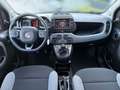 Fiat Panda 1,0 Hybrid 70 City Life 4x2 Blau - thumbnail 13