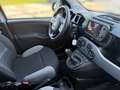 Fiat Panda 1,0 Hybrid 70 City Life 4x2 Blau - thumbnail 18