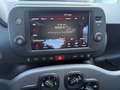 Fiat Panda 1,0 Hybrid 70 City Life 4x2 Blau - thumbnail 6