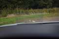 Volkswagen Tiguan 2.0 TSI 4Motion R-Line*Pano*Adaptive Cruise*180PK* Wit - thumbnail 22