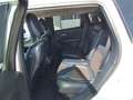 Jeep Cherokee 2,2 MultiJet II AWD Limited Aut. Weiß - thumbnail 6