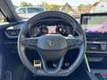 CUPRA Formentor VZ 1.4 e-Hybrid ACC eSITZE PANO Blau - thumbnail 19