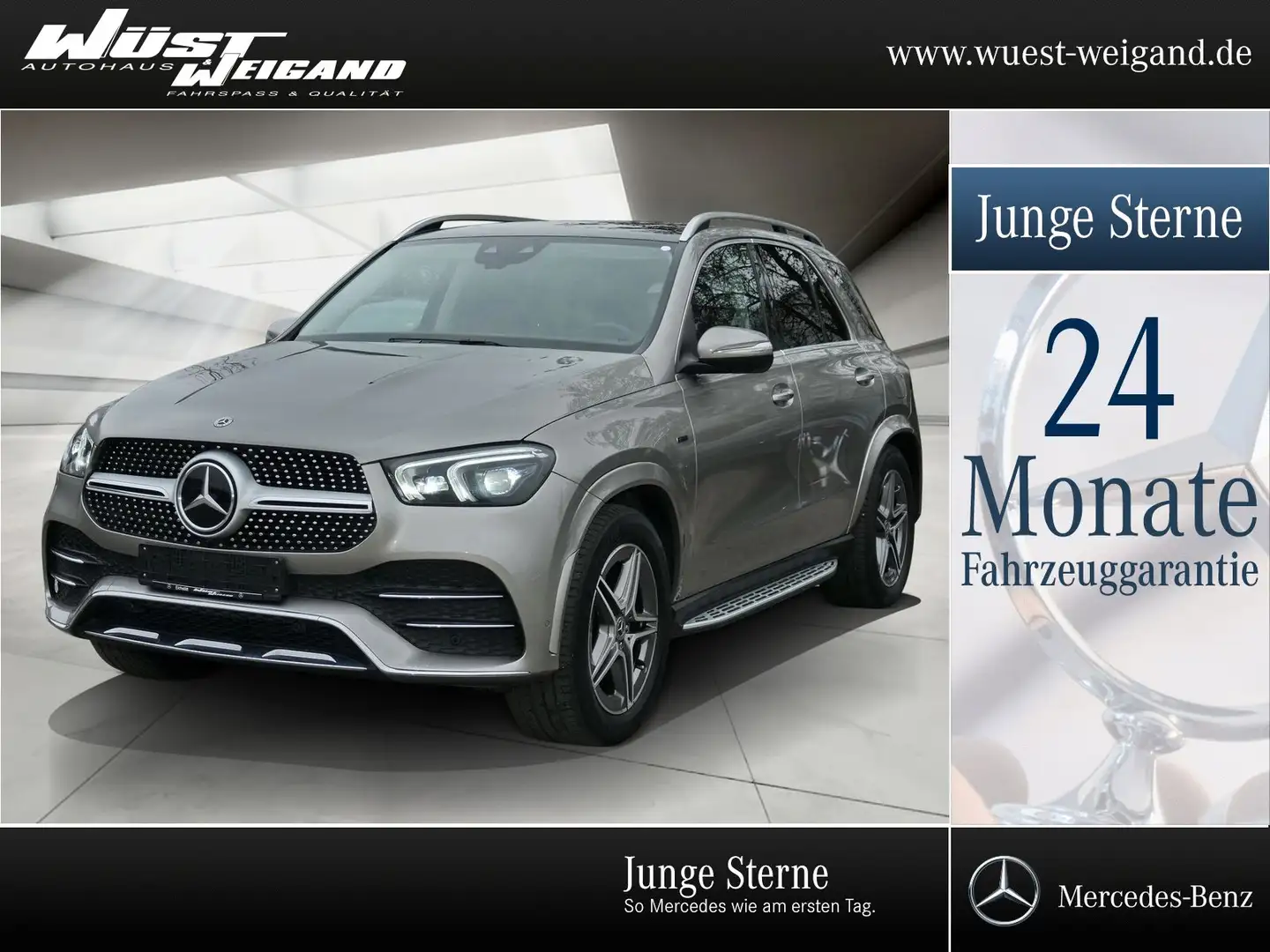 Mercedes-Benz GLE 350 de 4M. AMG-Line Pano.+Airm.+AHK+360°+WSC Silber - 1