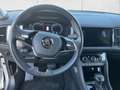 Skoda Kodiaq Tour 4x4 2.0 TDI AHK Navi DigiCock Kamera LED ACC Silber - thumbnail 13