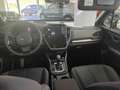 Subaru Forester 2.0 ie 100kW AWD Trend Rot - thumbnail 12