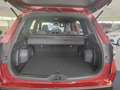 Subaru Forester 2.0 ie 100kW AWD Trend Rot - thumbnail 10
