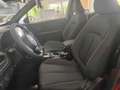 Subaru Forester 2.0 ie 100kW AWD Trend Rot - thumbnail 13