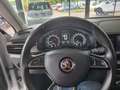 Skoda Kamiq Kamiq 1.5 TSI Style Silber - thumbnail 12