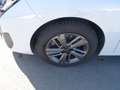 Peugeot 308 SW Allure, Klima, Kamera, Navi, SHZ, PDC Wit - thumbnail 7