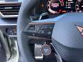 CUPRA Leon 1.5 eTSI DSG+Sennh+Matrix+Edge+Dynamic+Desi Grau - thumbnail 17