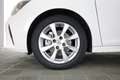 Opel Corsa 1.5 D 100 CV Edition Bianco - thumbnail 13
