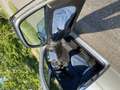 Lancia Ypsilon 1.2 8v MomoDesign - thumbnail 10