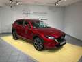 Mazda CX-5 Advantage *SHZ*LHZ*CarPlay*360°* Rosso - thumbnail 1