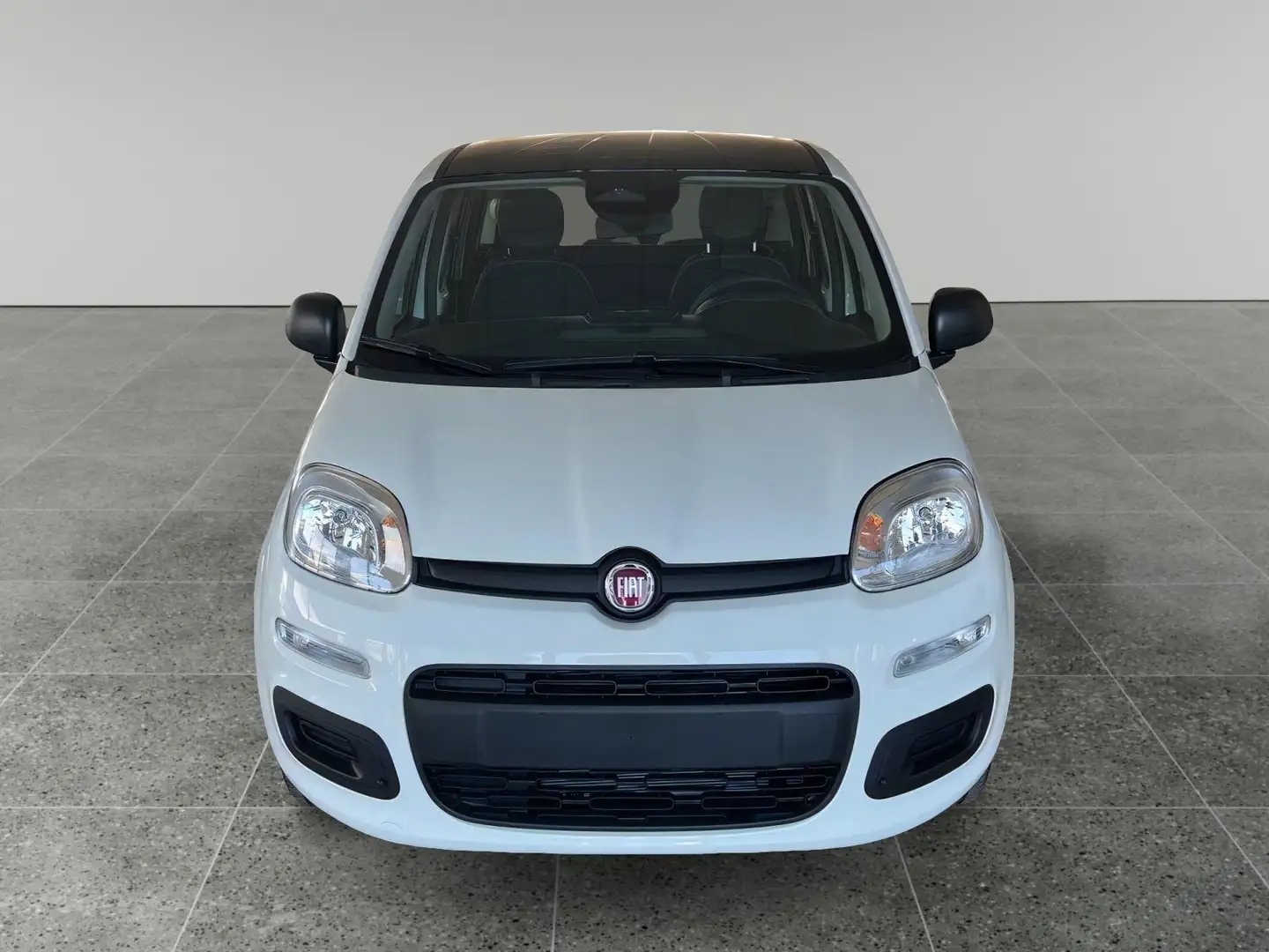 Fiat Panda 1.0 hybrid Bianco - 2