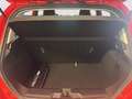 Ford Fiesta 5p 1.0 ecoboost h Titanium 125cv Rot - thumbnail 9