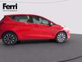 Ford Fiesta 5p 1.0 ecoboost h Titanium 125cv Rot - thumbnail 14