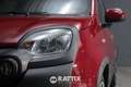 Fiat Panda Pandina 1.0 Firefly Hybrid 70CV Cross Rosso - thumbnail 3