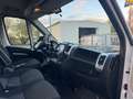 Fiat Ducato Hochr.-Kasten 35 140 L2H2 RS: 3450 mm Nav Weiß - thumbnail 5