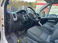 Fiat Ducato Hochr.-Kasten 35 140 L2H2 RS: 3450 mm Nav Weiß - thumbnail 11