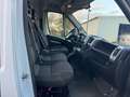 Fiat Ducato Hochr.-Kasten 35 140 L2H2 RS: 3450 mm Nav Weiß - thumbnail 6