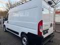 Fiat Ducato Hochr.-Kasten 35 140 L2H2 RS: 3450 mm Nav Weiß - thumbnail 10
