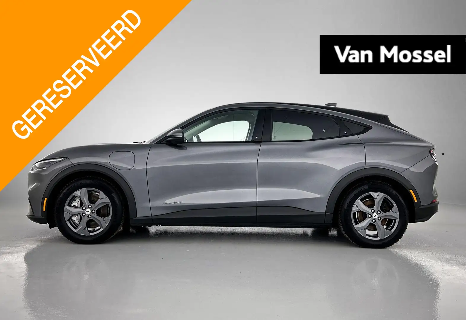 Ford Mustang Mach-E RWD 75 kWh | Adapt. Cruise | Blind Spot Systeem | Grijs - 1