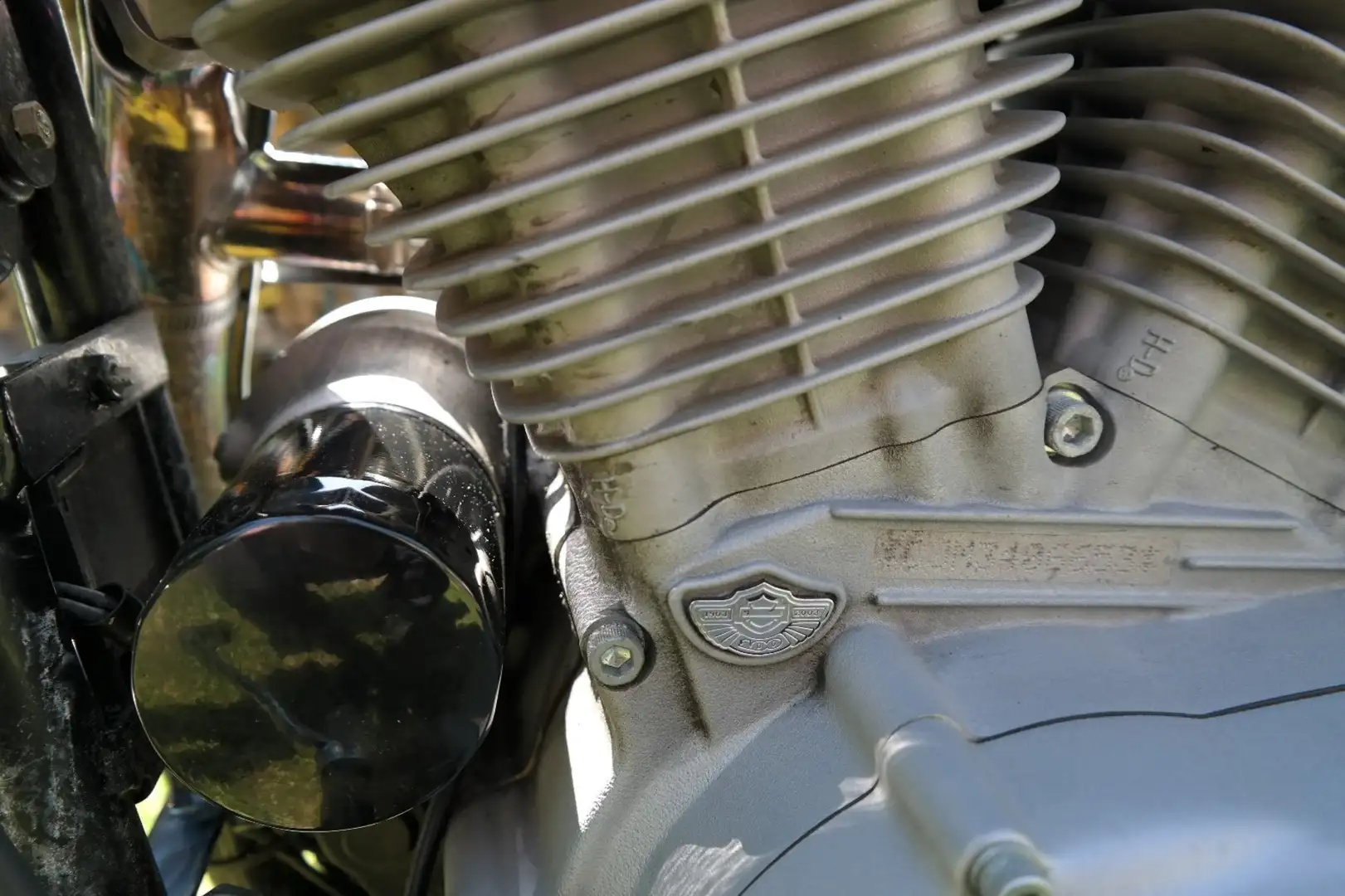 Harley-Davidson Sportster 883 Modrá - 1