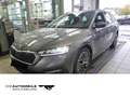 Skoda Octavia Combi 1.0 TSI Clever Rückkam/ACC/Multile Grau - thumbnail 1
