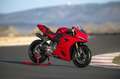 Ducati Panigale V2 . - thumbnail 1