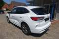 Ford Kuga Plug-In Hybrid ST-Line X - 2,5PHEV / AHK Weiß - thumbnail 5