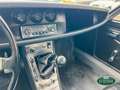 Alfa Romeo GT Junior Zagato 1300 (1 of 1108) Bianco - thumbnail 10