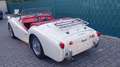 Triumph TR3 A - seit 25 Jahren in letzter Hand Білий - thumbnail 3