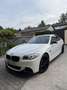 BMW 530 530d xDrive Aut. - thumbnail 1