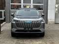 Haval H6 HAVAL H6 LUXURY Grau - thumbnail 2